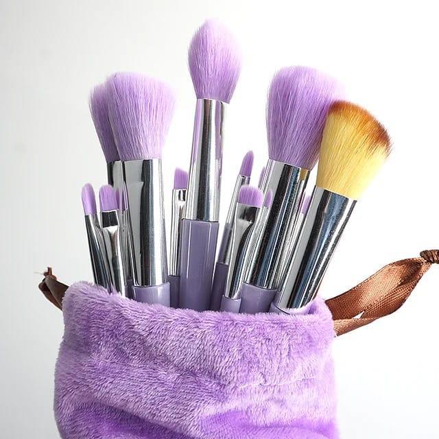 13-PCS Makeup Brush Set In Velvet Bag